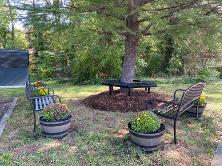 Setting Up New Neighbors for Success