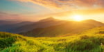 field and mountains at sunset