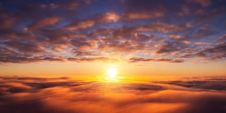 Leading the Charge to a Carbon-Negative Future