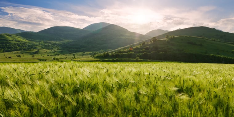 Zero Waste to Landfill green hills