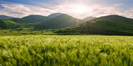 Zero Waste to Landfill green hills