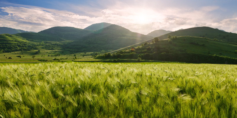 Zero Waste to Landfill green hills