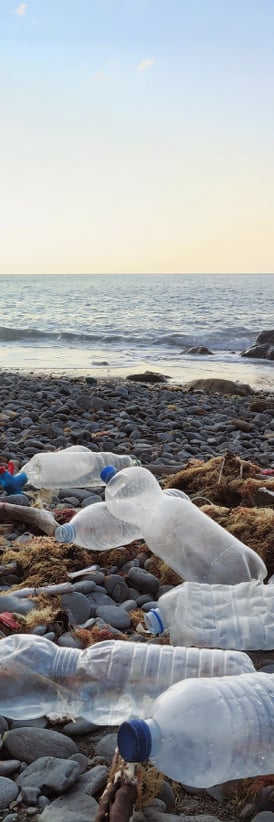 bottles-on-the-beach