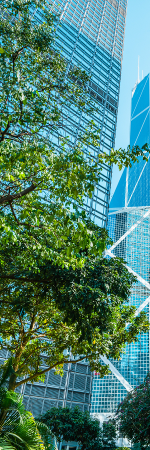 skyscraper-and-tree