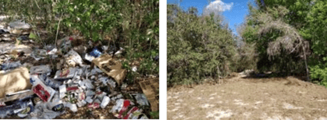 Great American Cleanup 3