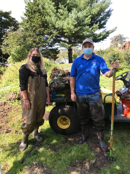 Covanta Long Island Invasive Plant Removal