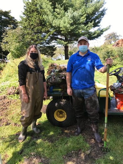 Covanta Long Island Invasive Plant Removal