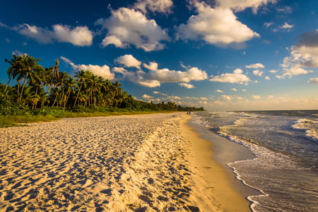 Reworld™ Palm Beach Joins International Coastal Cleanup Efforts at Juno Beach, FL