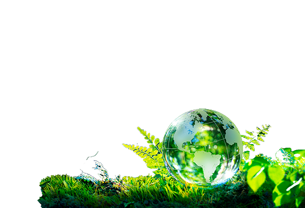 Globe and leaves