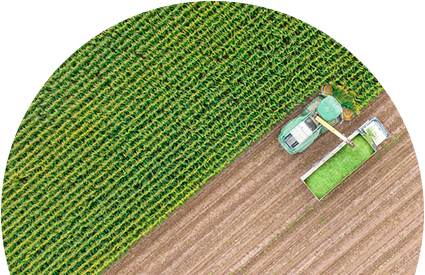 Industries_Agriculture