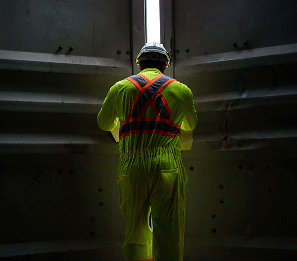 Safety and Risk cover image