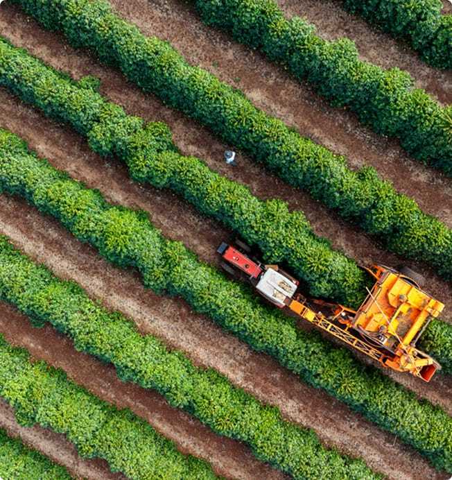 agriculture-recover