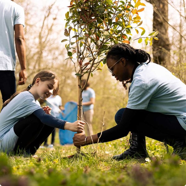 Community plant a tree effort.
