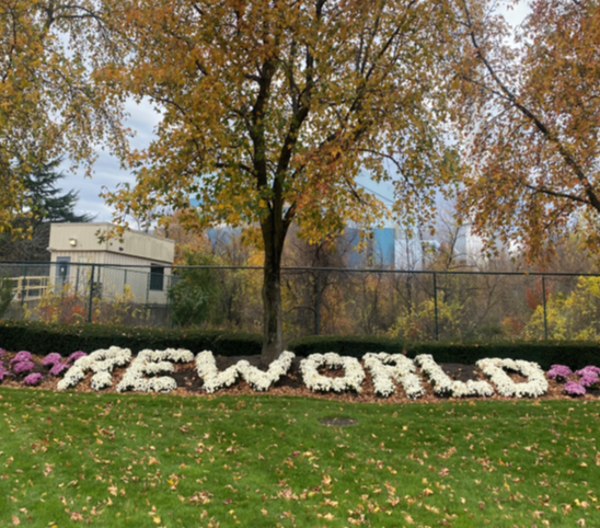 reworld in flowers-1-1