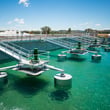 wastewater treatment tank with clear, teal water