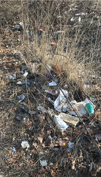 trash in field